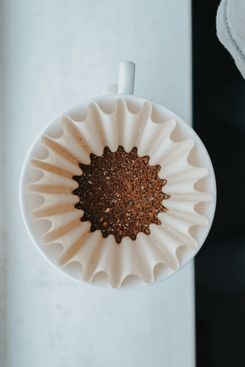 Freshly ground Gesha coffee in a pour-over filter, seen from above