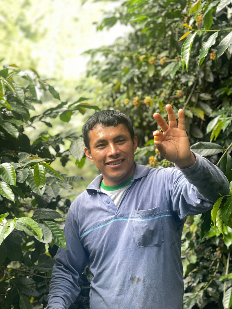 What Is Cup of Excellence? The Competition Behind the World's Best Coffees