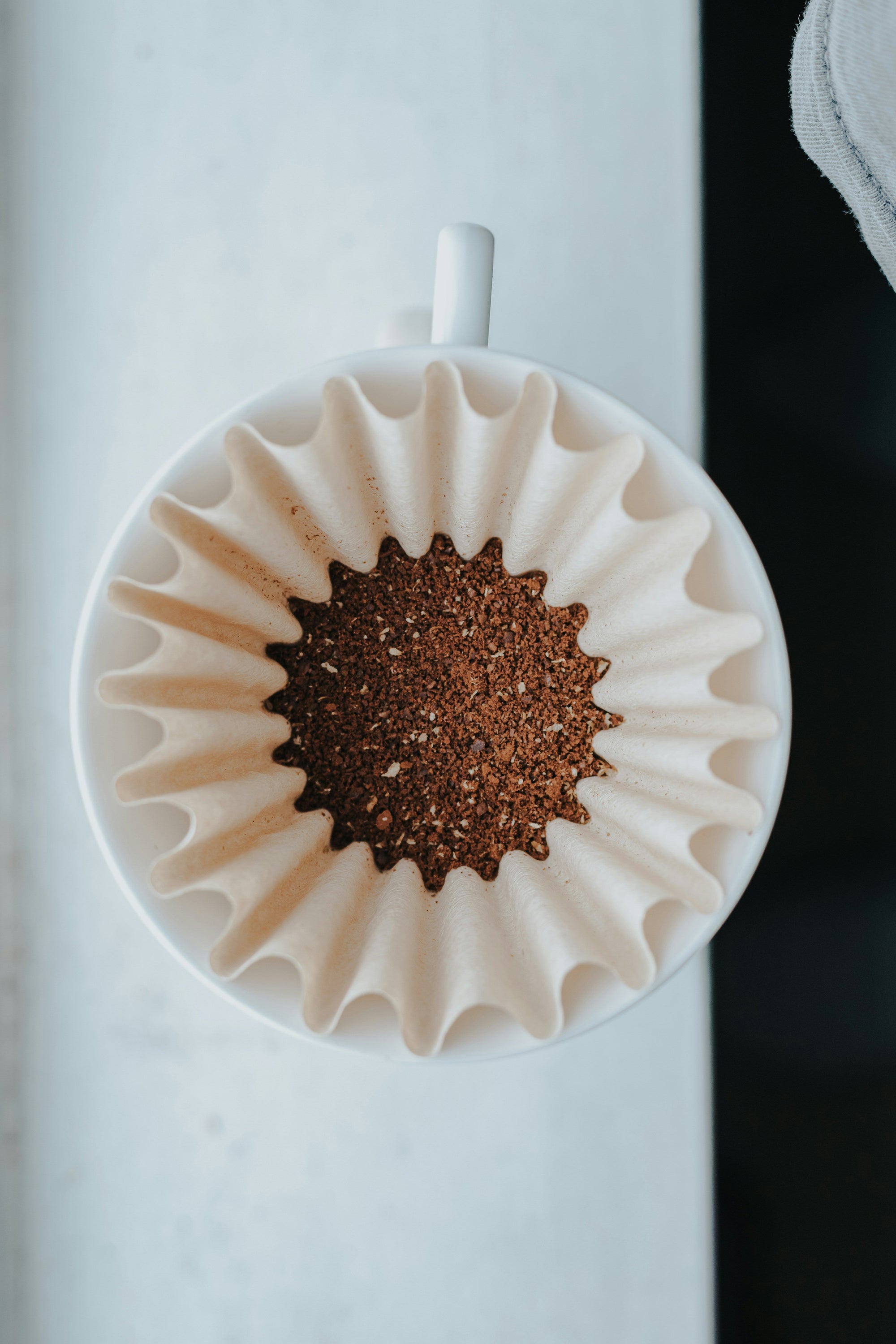 Freshly ground Gesha coffee in a pour-over filter, seen from above