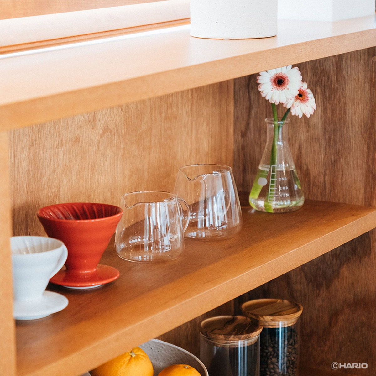 Hario V60 Barista Server