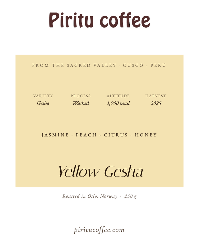 Yellow Gesha